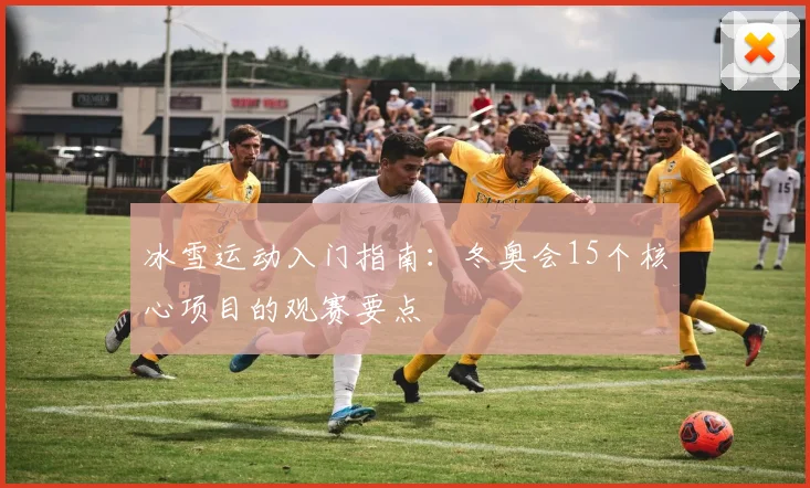 冰雪运动入门指南：冬奥会15个核心项目的观赛要点