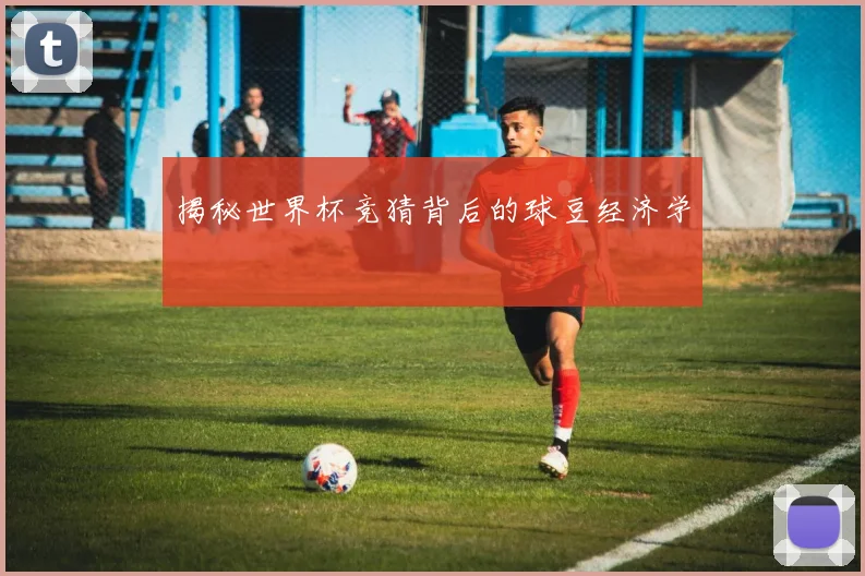 揭秘世界杯竞猜背后的球豆经济学