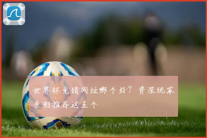 世界杯竞猜网址哪个好？资深玩家亲测推荐这五个