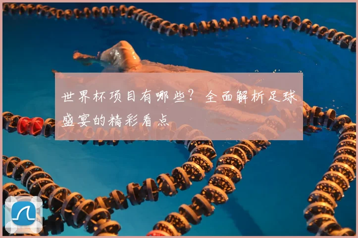 世界杯项目有哪些？全面解析足球盛宴的精彩看点