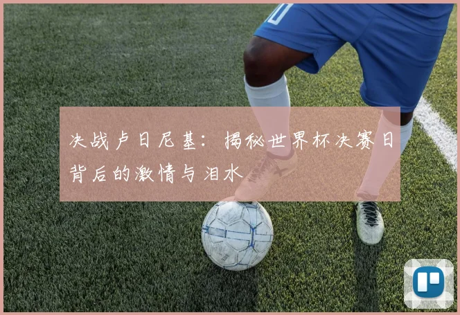 决战卢日尼基：揭秘世界杯决赛日背后的激情与泪水