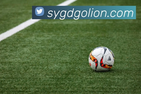 开云在线官网登录入口APP 高清赛事图